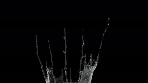 Crown Splash