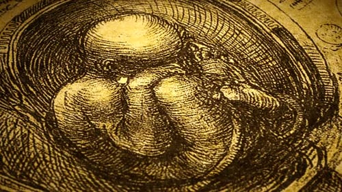 Anatomie-Kunst