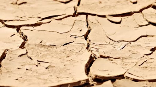 The cracked surface of a dry lake