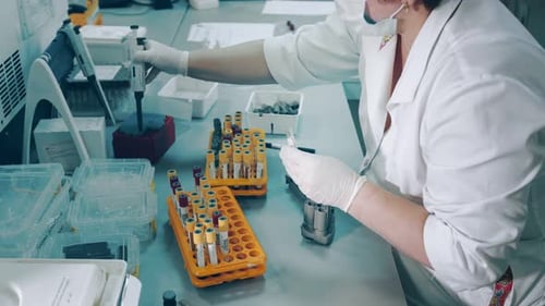 Healthcare Worker Analyzing Blood Samples in Laboratory