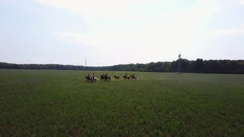 Die Leute reiten zu Pferd
