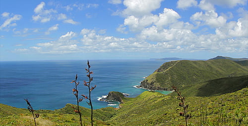 Ocean View