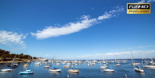 Yachts in Marina Time Lapse
