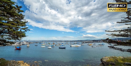 Yachts in the Marina