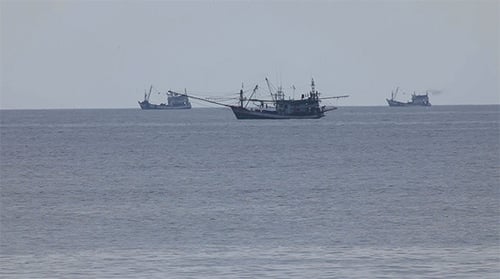 Fishing Boats Floating on the Ocean Surface