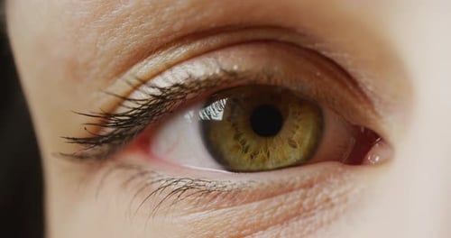 Ein grünes Auge