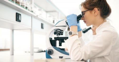 Scientist Using Microscope in Bright Laboratory
