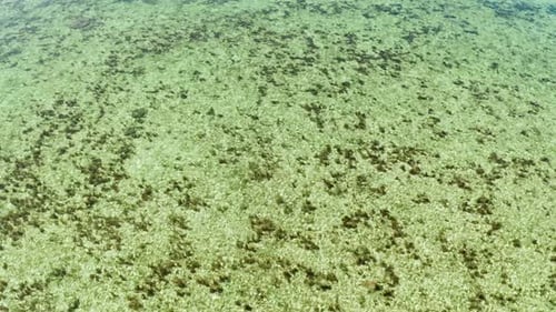 Top View of a Clean Ocean Water Near a Coast