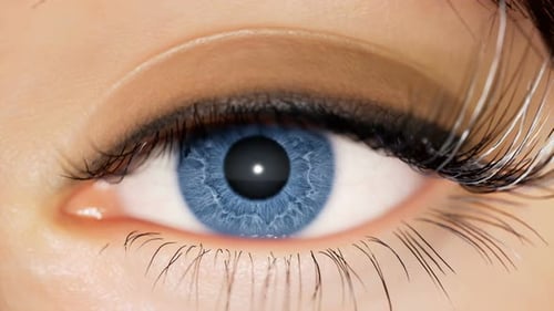 Realistic Blue Eye Blinking and Pupil Dilation Close Up