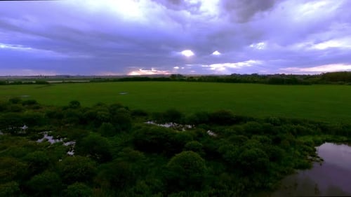 Wetlands surrounded by cultivated farmland
