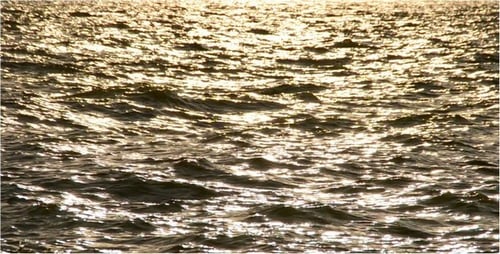 Meer 21