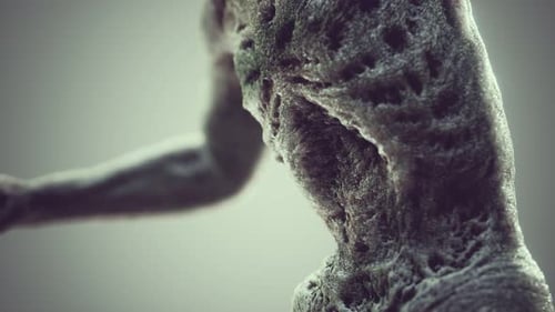 Abstract Organic Grunge Surface Texture Animation