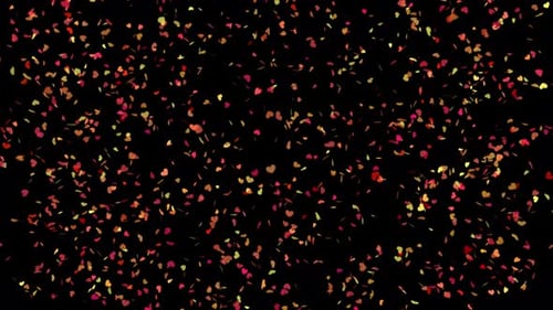 Falling Heart Confetti Animation Overlay