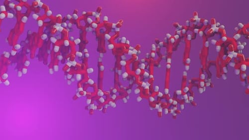 Animated DNA Double Helix Structure Rotating in 3D