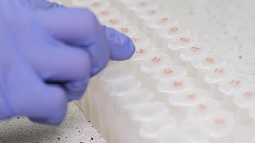 Gloved Hand Moves Vials in Laboratory Setting