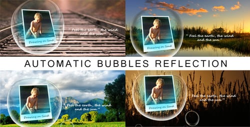 Summer Holiday Photo Gallery