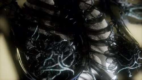 Detailed 3D Digital Animation of Human Anatomy and Circulatory System