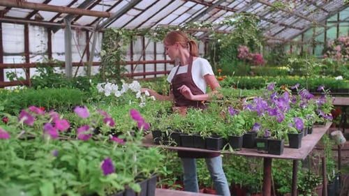 Woman tending flowers in greenhouse on sunny day