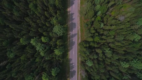 AERIAL Dark Colored Car Driving Down an Asphalt Road Crossing the Vast Forest on a Sunny Summer Day