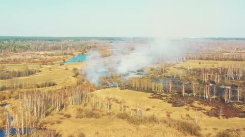 Aerial View, Spring Dry Grass Burns During Drought Hot Weather, Bush Fire And Smoke In Meadow Field