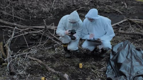Forensic specialists working in the forest. Crime scene and police concept.