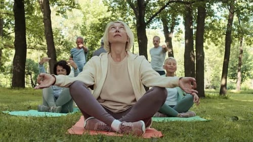 Senior Group Practicing Yoga in a Green Park