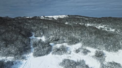 Paysage de montagne en hiver avec forêt de sapins enneigée