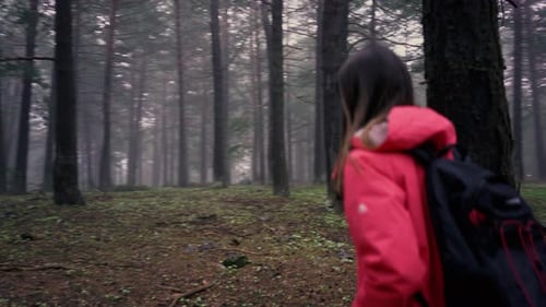 Hiking In Forest