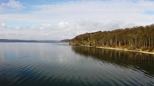 Drone Flight Over Lake And Trees