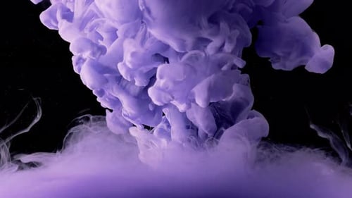 Purple Ink Swirls and Blooms Abstractly on Black