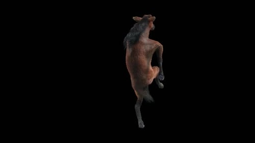 Furry Horse Creature Dancing with Upright Movement Animation