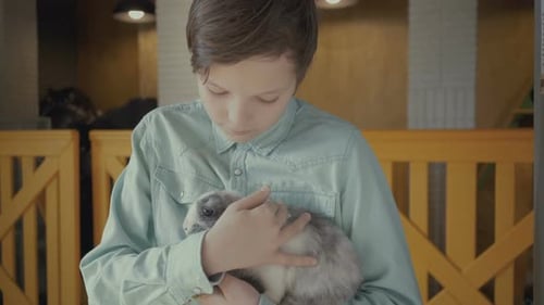 Boy Holds a Rabbit in His Hands on a Farm