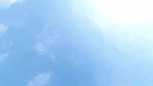 The Man Jumped Into the Pool and Swam in the Frame From Left To Right. Underwater Shooting
