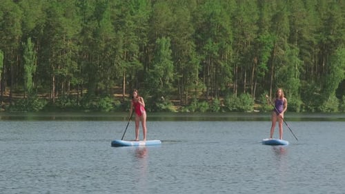 Women Paddleboarding on a Lake in Summer