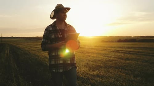 Farmer Using Tablet in Golden Field at Sunset