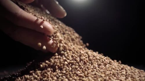 Buckwheat Grain Being Poured in Macro Shot