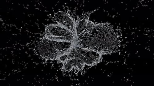 Realistic Water Splash Burst with Fluid Dynamics