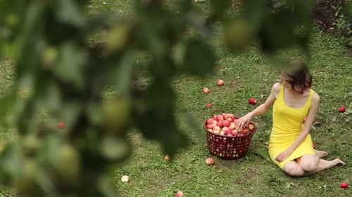 Woman Sits with Apples in Green Orchard