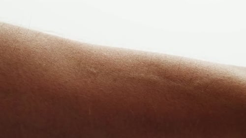 Extreme Close Up of Arm and Skin