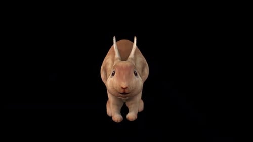Brauner Hase Jump View von vorne