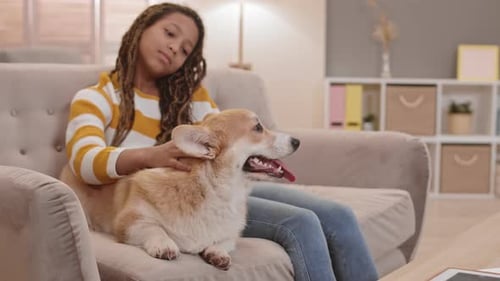 Niña africana y perro Corgi feliz