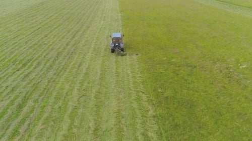 Le tracteur tond le gazon