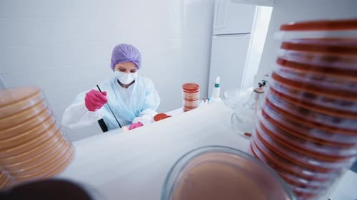 Scientists Conducting Medical Research in a Laboratory