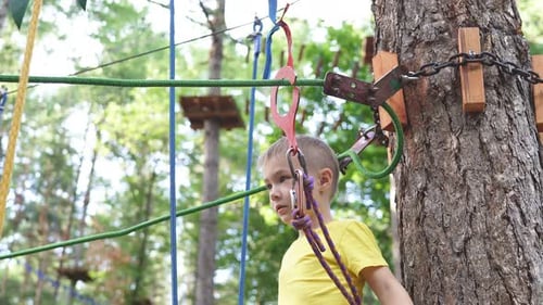 Portrait of a Happy Little Boy in an Adventure Rope Park