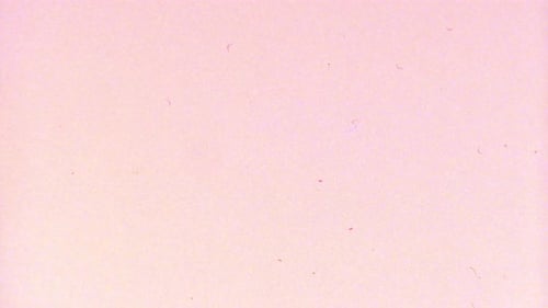 Farbfilm mit überbelichteter Textur Hintergrund