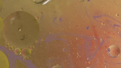 Macro Abstract Footage of Colorful Oil and Water