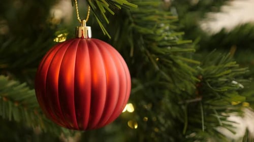 Shiny red ornament hanged on Christmas tree 4K 2160p 30fps UltraHD footage - Close-up of decorative