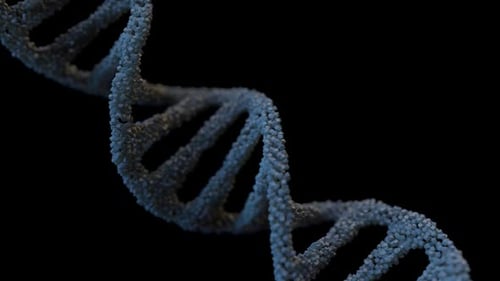 DNA Strand Damage Destruction