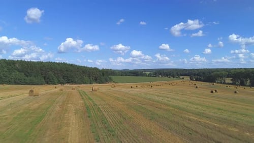 Flying Over Hay Bales in a Field
