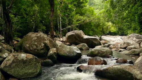 Mountain River Flowing in Rainforest. Endless Meditative Video, Stream in Tropical Exotic Jungle